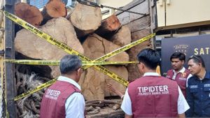 Kayu Hutan Lindung Dijual Rp2,5 Juta, Polisi Tangkap Pelaku di Aceh Besar