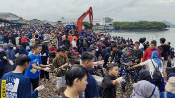 Thousand People Participate In Pandawara Cleaning The Dirtiest Beach Number 2 Sukaraja Bandar Lampung, This Is The Mayor's Response