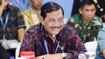 Branded 'Minister Of All Affairs', Coordinating Minister Luhut: The President Gives The Order, Why? Yes Ask The President