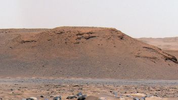 NASAの伝説的な衛星は、火星のクレーターの底に奇妙な土壌パターンをキャプチャ