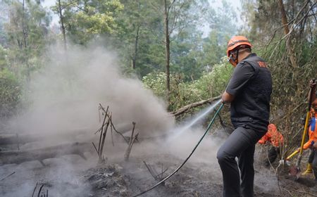 Karhutla Bukit Teletubbies Bromo Padam, BPBD Jatim Fokus Pembasahan