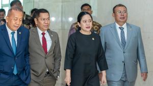 Puan Maharani Sebut Rakyat Menderita Saat Uang Negara Diselewengkan