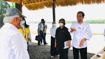 Presiden Jokowi: Konservasi Hutan Mangrove di Bali Bentuk Komitmen Indonesia Atasi Perubahan Iklim 