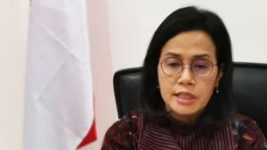 Pendapatan Negara Turun, Sri Mulyani Ubah Skema Penyaluran DAU