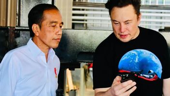 Elon Musk Invites Indonesians To Be Volunteers To Mars
