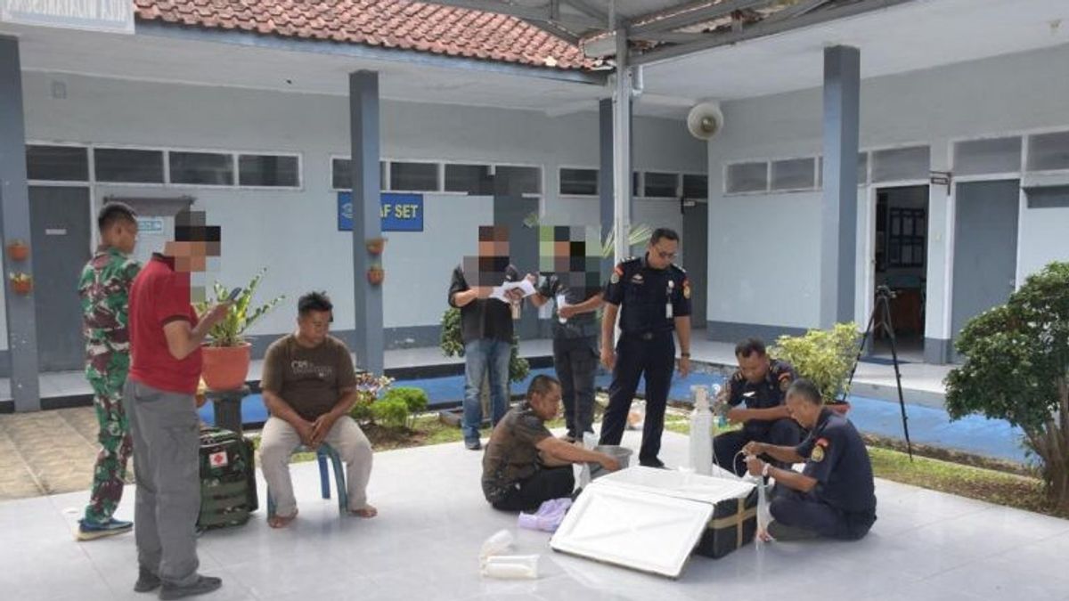 TNI AL Gagalkan Penyelundupan Benih Lobster Ilegal di Cilacap