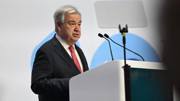 UN Secretary-General Calls for Full Implementation of Gaza Ceasefire and Israeli Troop Withdrawal