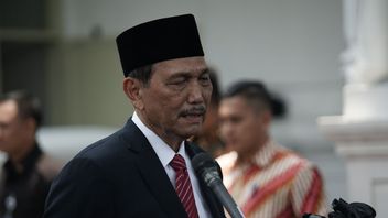 Minister Luhut Bans State Officials Going Abroad To Prevent Omicron Transmission