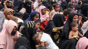 Menko Polhukam hingga Menlu Gelar Rapat Terkait Pengungsi Rohingya