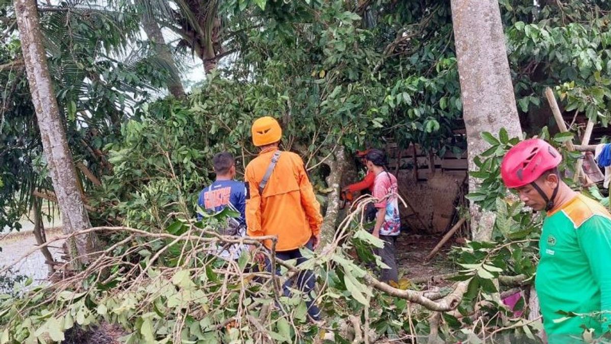 7 Bulan ke Depan, Warga Cianjur Diminta Waspada Hujan Deras dan Longsor