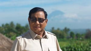 Prabowo Sebut Asing Manfaatkan Demo UU Cipta Kerja, Tapi Tak Tahu Negara Mana