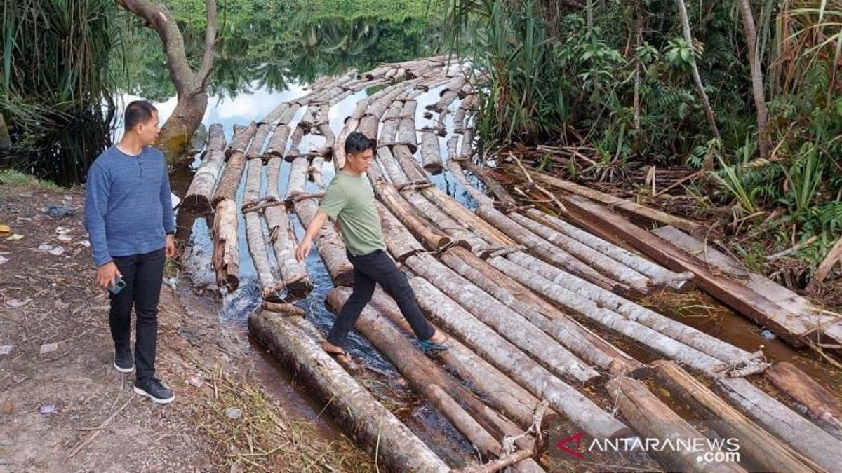 Throughout 2021, Riau Police Investigate 29 Illegal Logging Cases With 41 Perpetrators