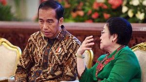 Megawati Soekarnoputri Ingatkan Presiden Jokowi Soal Komando Masa Bencana
