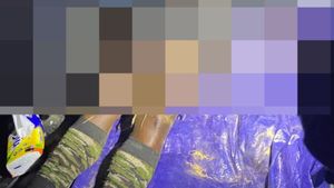 Gunfight Breaks Out In Mountains Papua, 1 KKB Member Suspected Of Underlying Egianus Kogoya Dies And Falls Into Abyss