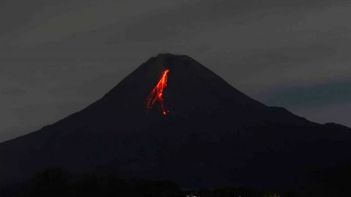 Berita Yogyakarta: Guguran Lava Pijar Gunung Merapi Meluncur ke Barat Daya Sejauh 1,5 km