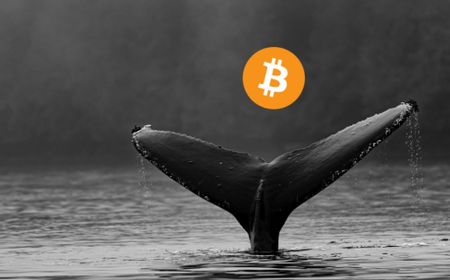 Setelah Tertidur Selama 9 Tahun, Whale Bitcoin ini Mulai Aktif Lagi