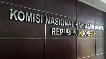 Belum Ada Laporan, Komnas HAM Akui Proaktif Dalami Kontak Tembak di Intan Jaya