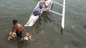 Sudah Hidup Miskin, Nelayan di Maluku Utara Dibebani Pembuatan Izin yang Mahal