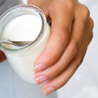 Yoghurt Paling Sehat untuk Diet, Ini Pilihan dan Tips Memilihnya