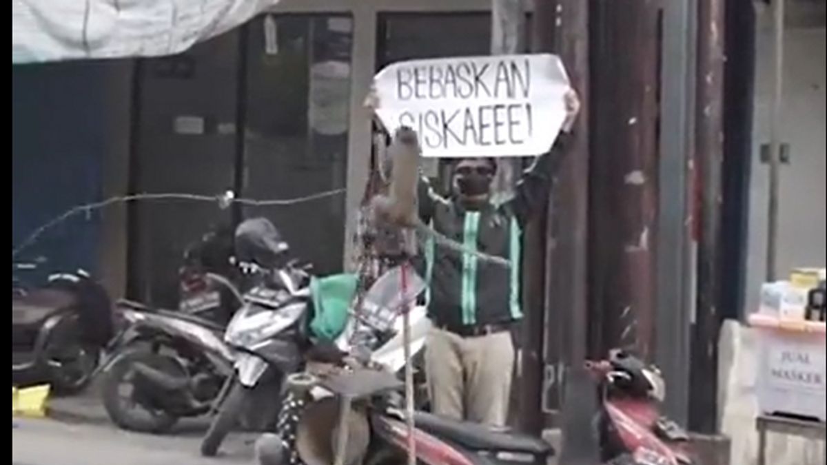 Creating Content Of Poster Demanding 'Release Siskaeee,' How Funny This Man's Action Was Watched By Monkeys
