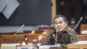 MAKI Sebut Riza Chalid di Malaysia, Diduga Sudah Nikah dengan Kerabat Sultan