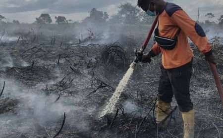 Pemerintah Siapkan Pencegahan Kebakaran Gambut Lewat Modifikasi Cuaca