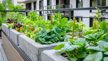 Urban Farming Can Start from Home, Here's the Reason