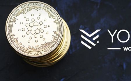 Pemegang Cardano Kini Bisa Dapatkan Penghasilan Pasif Melalui Cashback Belanja