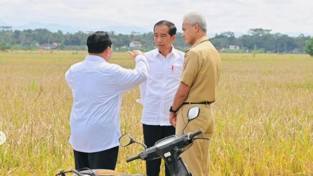Akrab Saat Panen Raya, Politikus PDIP Tak Lihat Sinyal Jokowi Dukung Duet Prabowo-Ganjar
