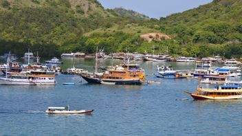 Tourists Are Turbulent Because Entry Fees Rise Rp3.7 Million, Police Guarantee Tourist Safety In Labuan Bajo