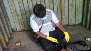 Mayat Perempuan Membusuk Ditemukan Dalam Peti Kemas Angkut Keramik di Pelabuhan Tanjung Priok