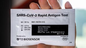 Kimia Farma Berhentikan Petugas yang Gunakan Rapid Test Antigen Bekas; Jawab Kemarahan Erick Tohir
