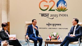 Jokowi Asks the Netherlands to be Involved in Developing Low-carbon Technology in Indonesia