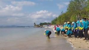 First Lady Iriana Releases Hundreds Of Tukik On Elak-Elak Beach Lombok