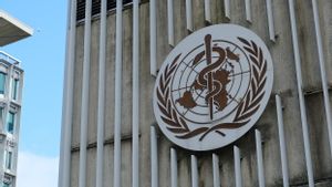 Dewan Eksekutif WHO Pertahankan Status Darurat Kesehatan di Palestina yang Diduduki