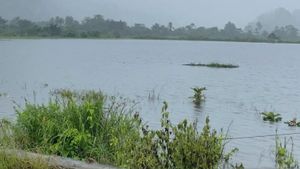 北科纳韦苏尔特拉150公顷的农田受到洪水的影响