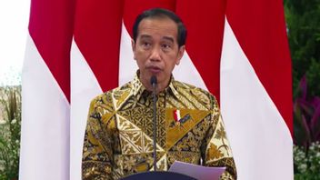 Dampak Perang Ukraina Rusia di Mata Presiden Jokowi