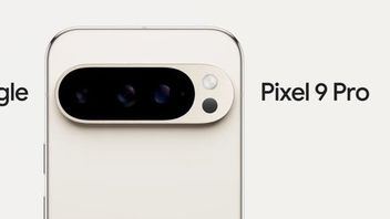 Pink Pixel 9 And Pixel 9 Pro XL Leaks. There Are Pink And Porcelain Colors