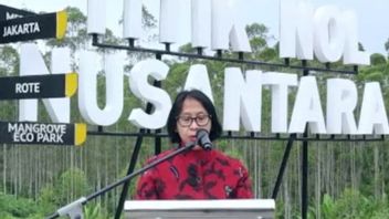 印度尼西亚侨民进行干预并承诺支持IKN Nusantara