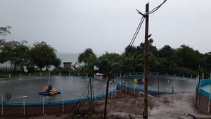 Panen! Produksi Udang Vaname Tambak di Bangka Tengah Capai 580,4 Ton