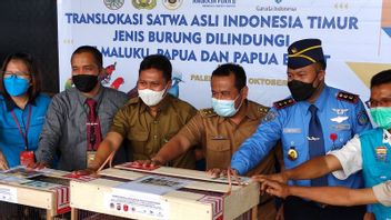 South Sumatra Police Reveals Smuggling Cases Of 114 Protected Animals Worth Rp1.3 Billion