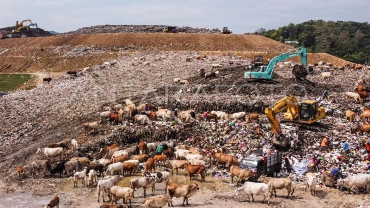 Viral Truk Sampah Rongsok Seliweran, Pemkot Semarang Bakal Remajakan 44 Unit dengan Anggaran Rp2,5 Miliar