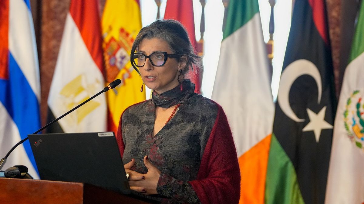 UN Special Rapporteur Urges Mediterranean States to Protect Global Sumud Flotilla