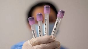 How Dangerous is Hantavirus in Indonesia?
