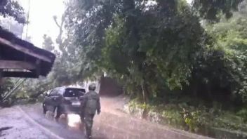 Landslides, Sukabumi-Palabuhanratu Road Terdepat