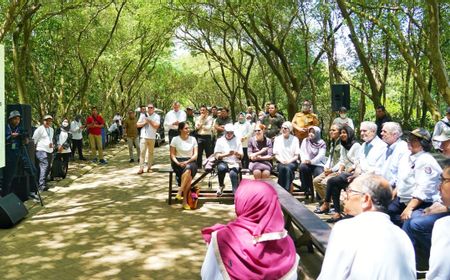 Delegasi Kongres AS Puji Hasil Rehabilitasi Pesisir dengan Mangrove di Kapuk