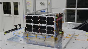 NASA Akan Terbangkan Satelit Kubus Korea Selatan dalam Misi Artemis 2