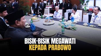 Keakraban Presiden Prabowo dan Megawati Jadi Perhatian