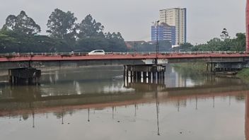 Des poissons morts flottent, la KLH enquête sur une présumée pollution de la rivière Cisadane après un incendie dans un entrepôt de pesticides