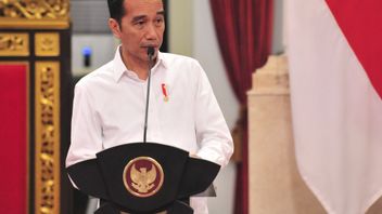Jokowi Hendak Revisi UU ITE, PAN: Sesuaikan dengan Perkembangan IT